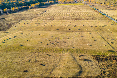 Similar image 21953330