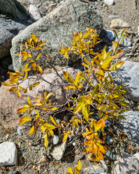 Similar image 21955026