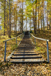 Similar image 21955027