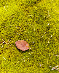 Similar image 21955028