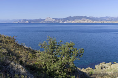 Similar image 21953339