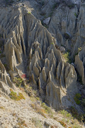 Similar image 21953341