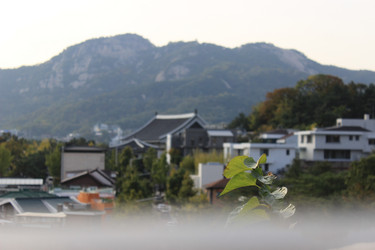 Similar image 21953348