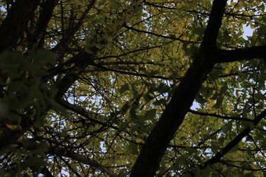 Similar image 21953350