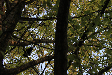 Similar image 21953351