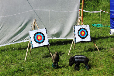 Similar image 21953357