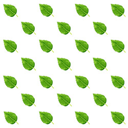 Similar image 21960937