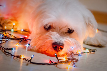 Similar image 21962313