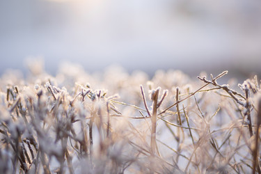 Similar image 21962314