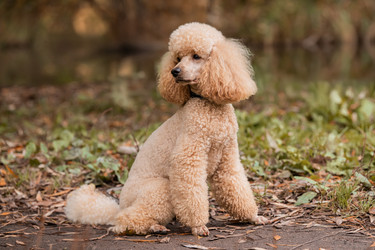 Similar image 21971148