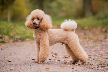 Similar image 21971150