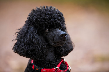 Similar image 21971151