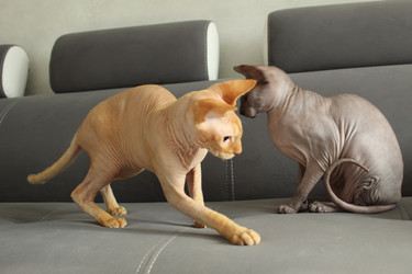 Similar image 21970744