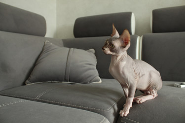 Similar image 21970746