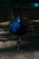 Similar image 21965830