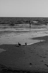 Similar image 21965832