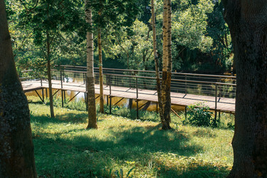 Similar image 21965868