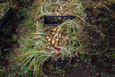 Similar image 21971010