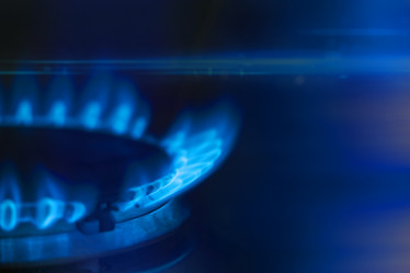 Similar image 21955271