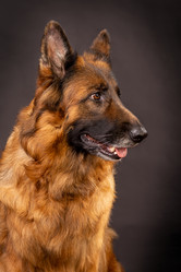 Similar image 21955037