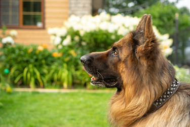 Similar image 21955038