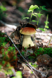 Similar image 21969376