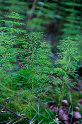 Similar image 21969377