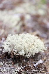 Similar image 21969379