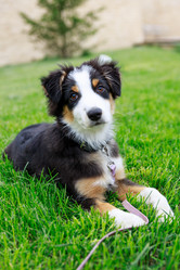 Similar image 21969381