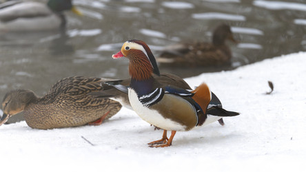 Similar image 21972397