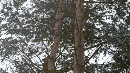 Similar image 21972404