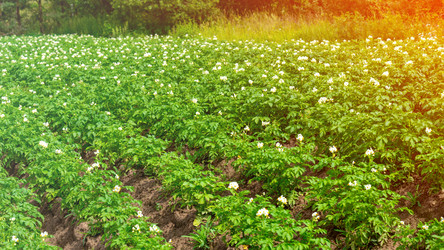 Similar image 21972058