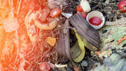 Similar image 21972069