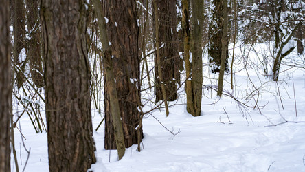 Similar image 21972070