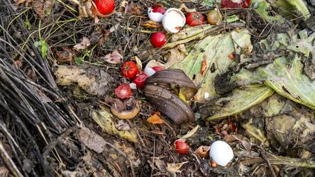 Similar image 21972071