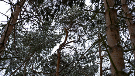 Similar image 21972072