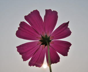 Similar image 21955058