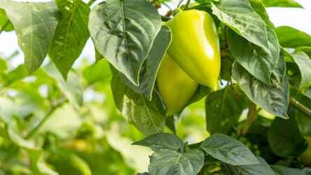 Similar image 21972177