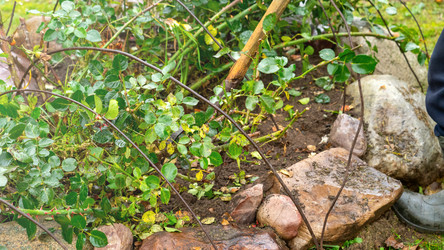 Similar image 21972184