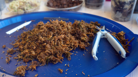 Similar image 21972190