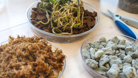 Similar image 21972191