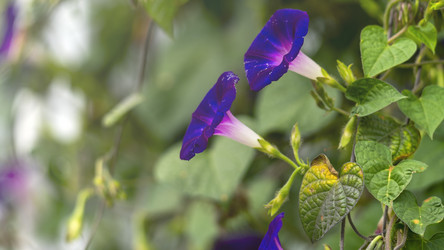 Similar image 21972193