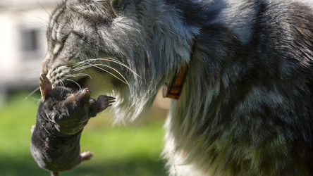 Similar image 21972196