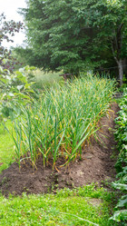 Similar image 21972197