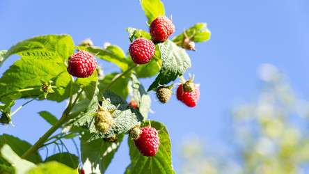 Similar image 21972213