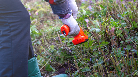 Similar image 21972216