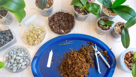 Similar image 21972273