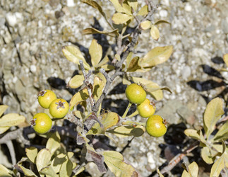 Similar image 21955327