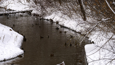 Similar image 21972314