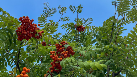 Similar image 21972316